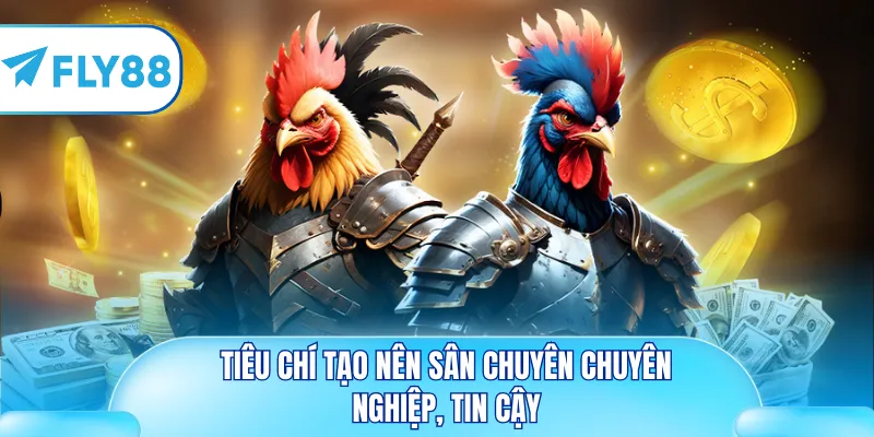 Tiêu chí tạo nên sân chuyên chuyên nghiệp, tin cậy